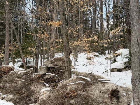 Map 6 Lot 103 Route 16 Route Albany NH 03818