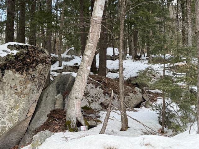 Map 6 Lot 103 Route 16 Route