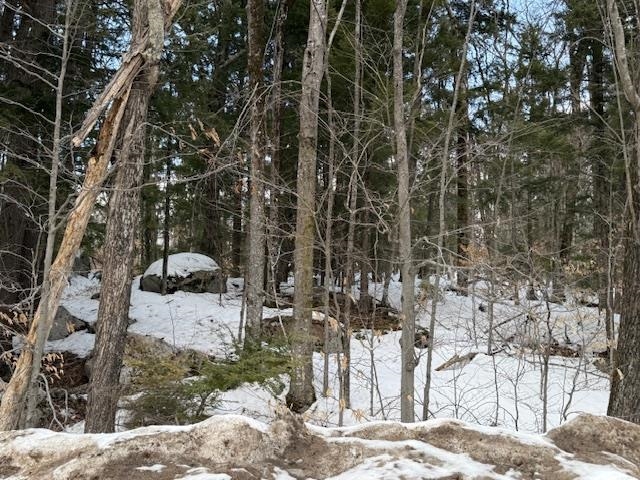 Map 6 Lot 103 Route 16 Route