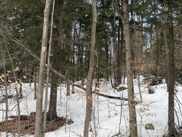 Map 6 Lot 103 Route 16 Route