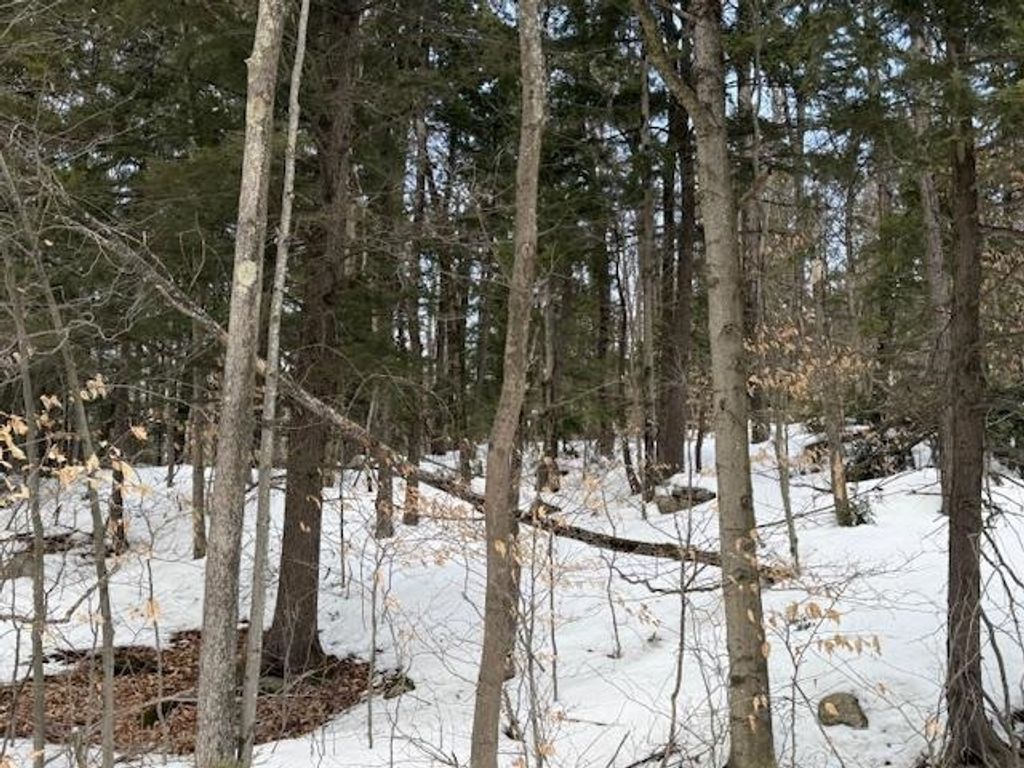 Photo of 6103 Route 16, Albany, NH 03818 (MLS # 5077819)