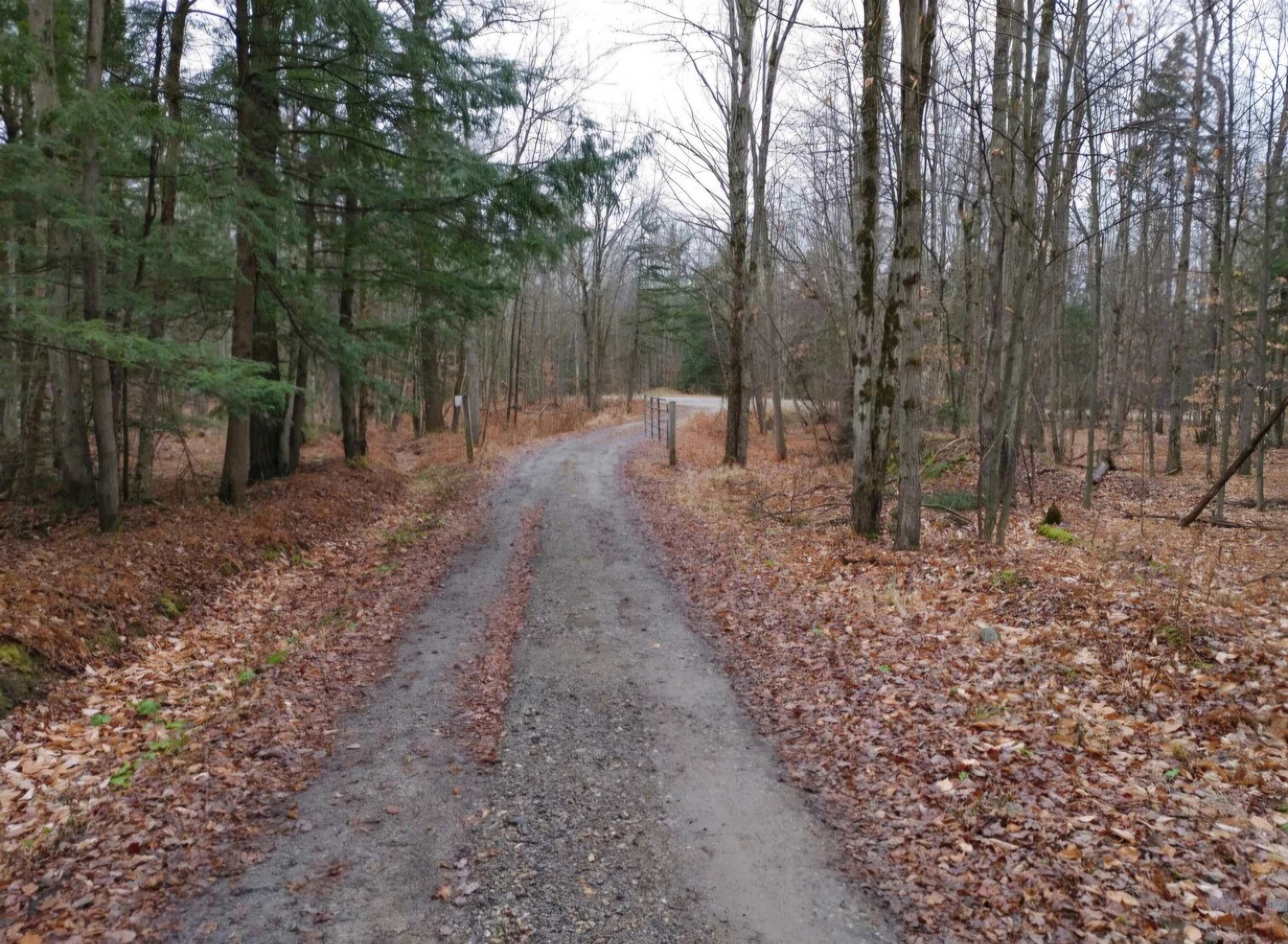 156 White Birch Road