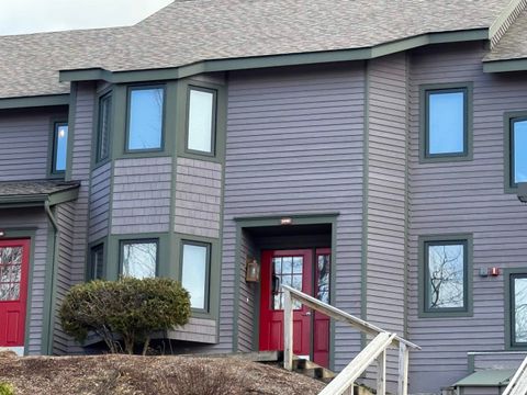 334 Slopeside Road 4002 Jay VT 05859