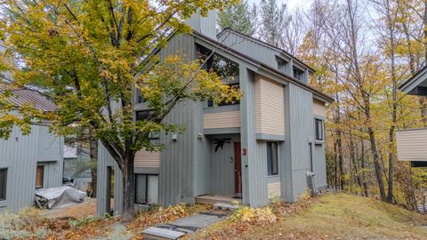 3 Big Bear Lane Lincoln NH 03251