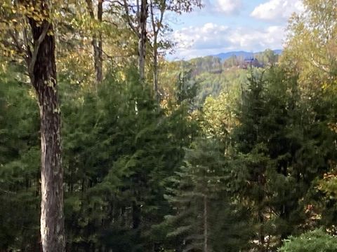 Abnaki Trail Campton NH 03223