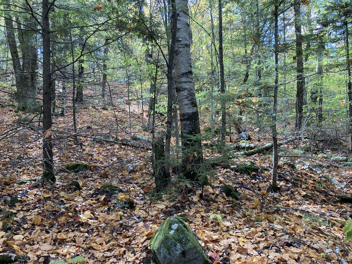 Abnaki Trail