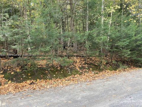 Abnaki Trail Campton NH 03223