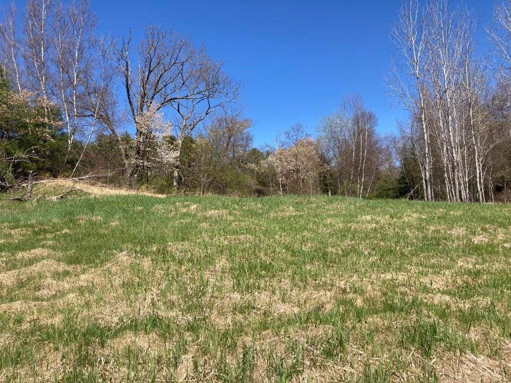 Photo of 0 US Route 4, Canaan, NH 03741 (MLS # 5076006)