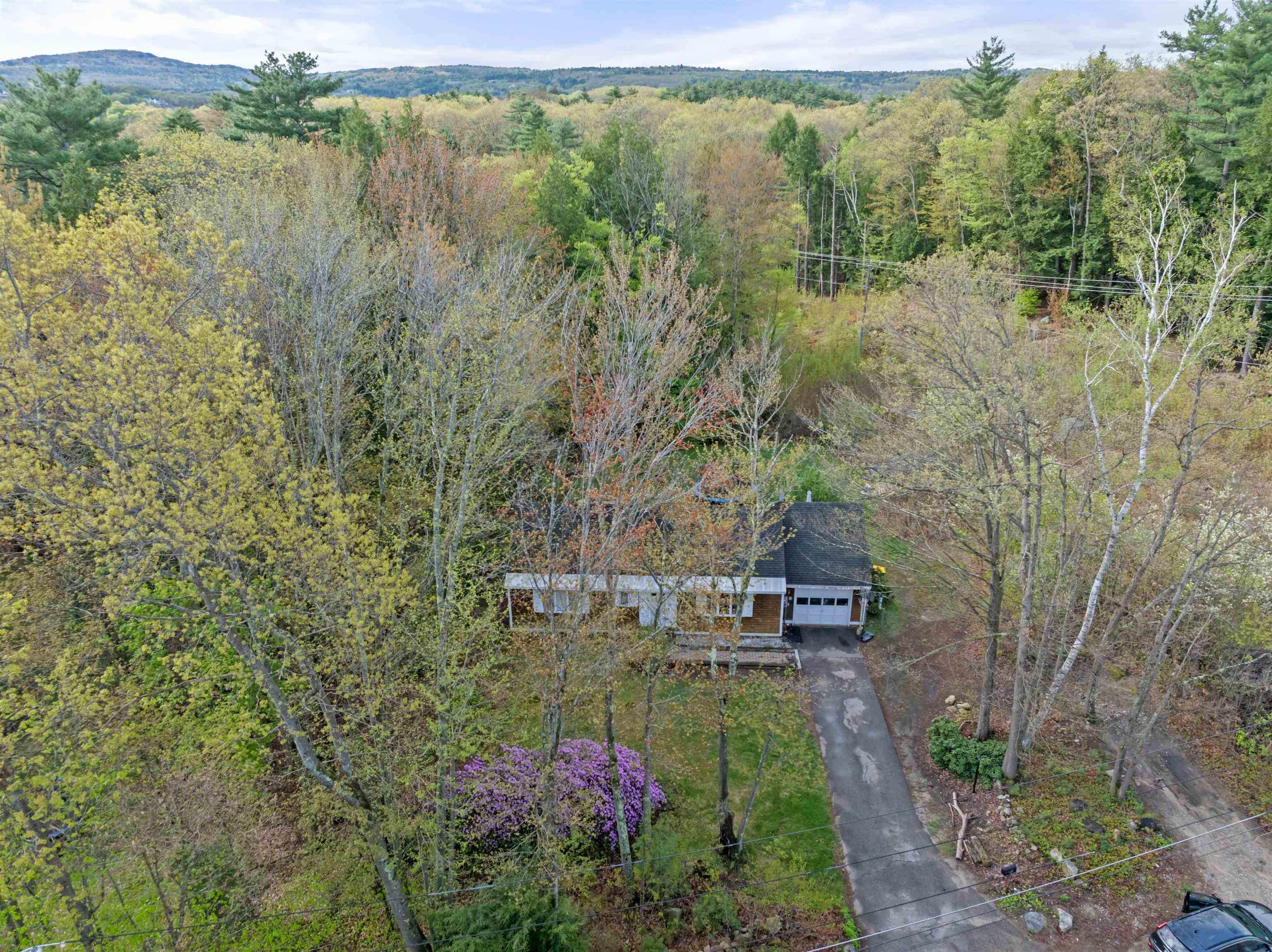 30 Blueberry Lane