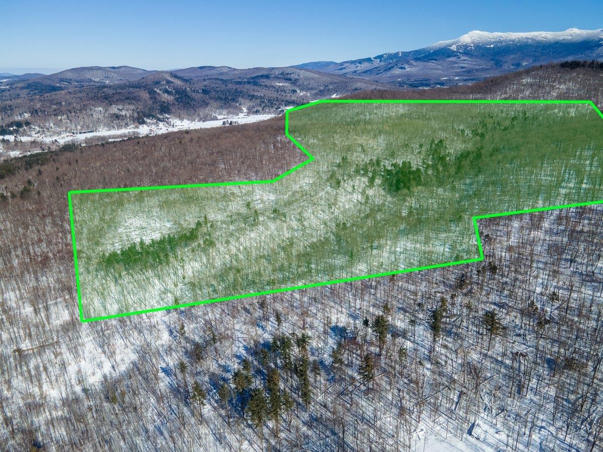 296 & 298 VT Route 15