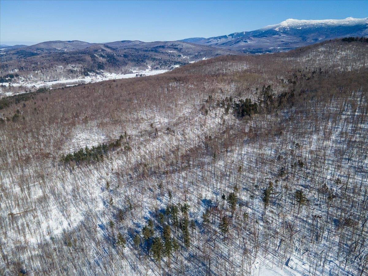 296 & 298 VT Route 15