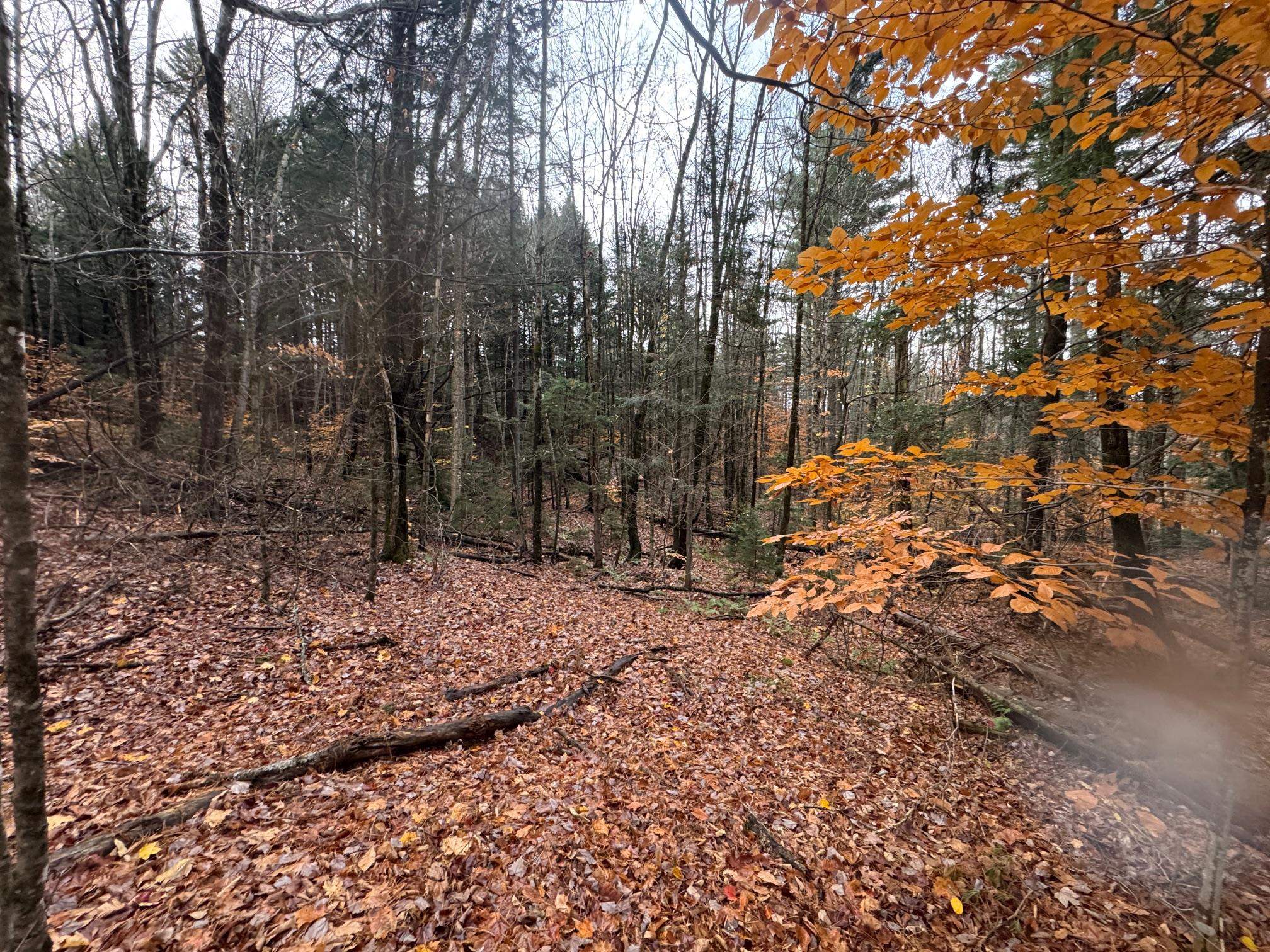 41 E Hampshire Hill Road