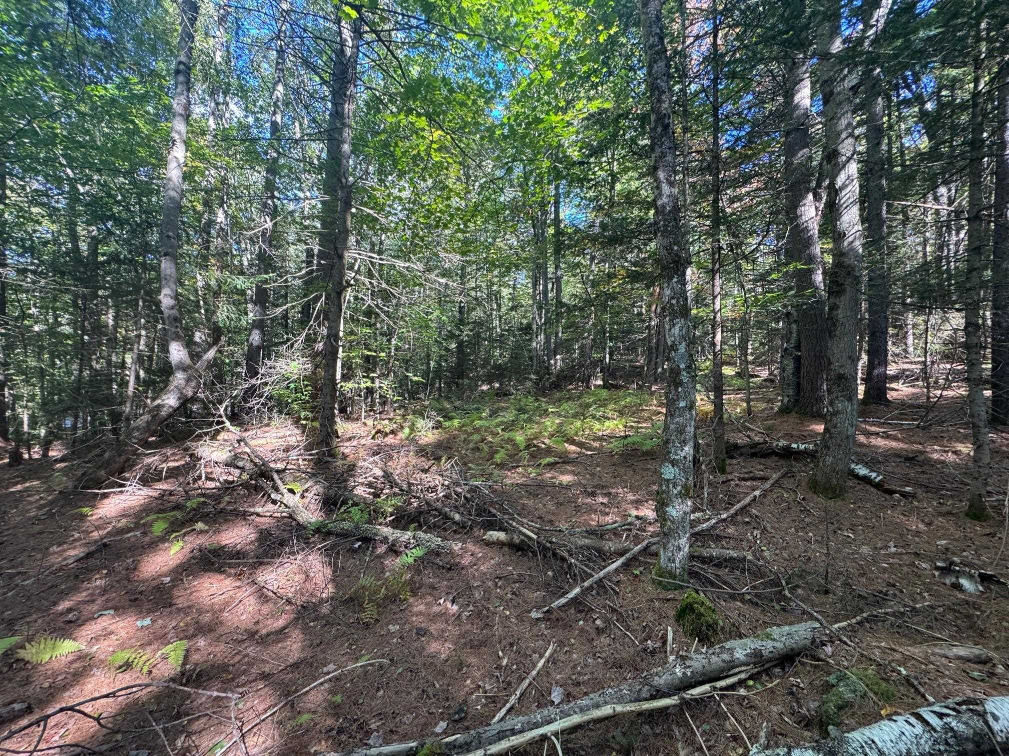 41 E Hampshire Hill Road