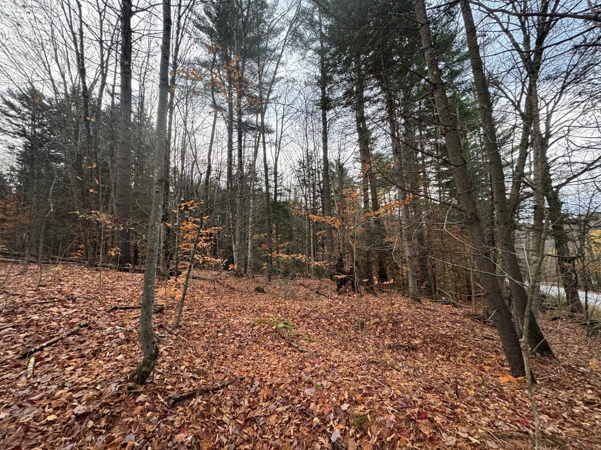 41 E Hampshire Hill Road