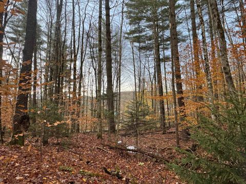 41 E Hampshire Hill Road Worcester VT 05682