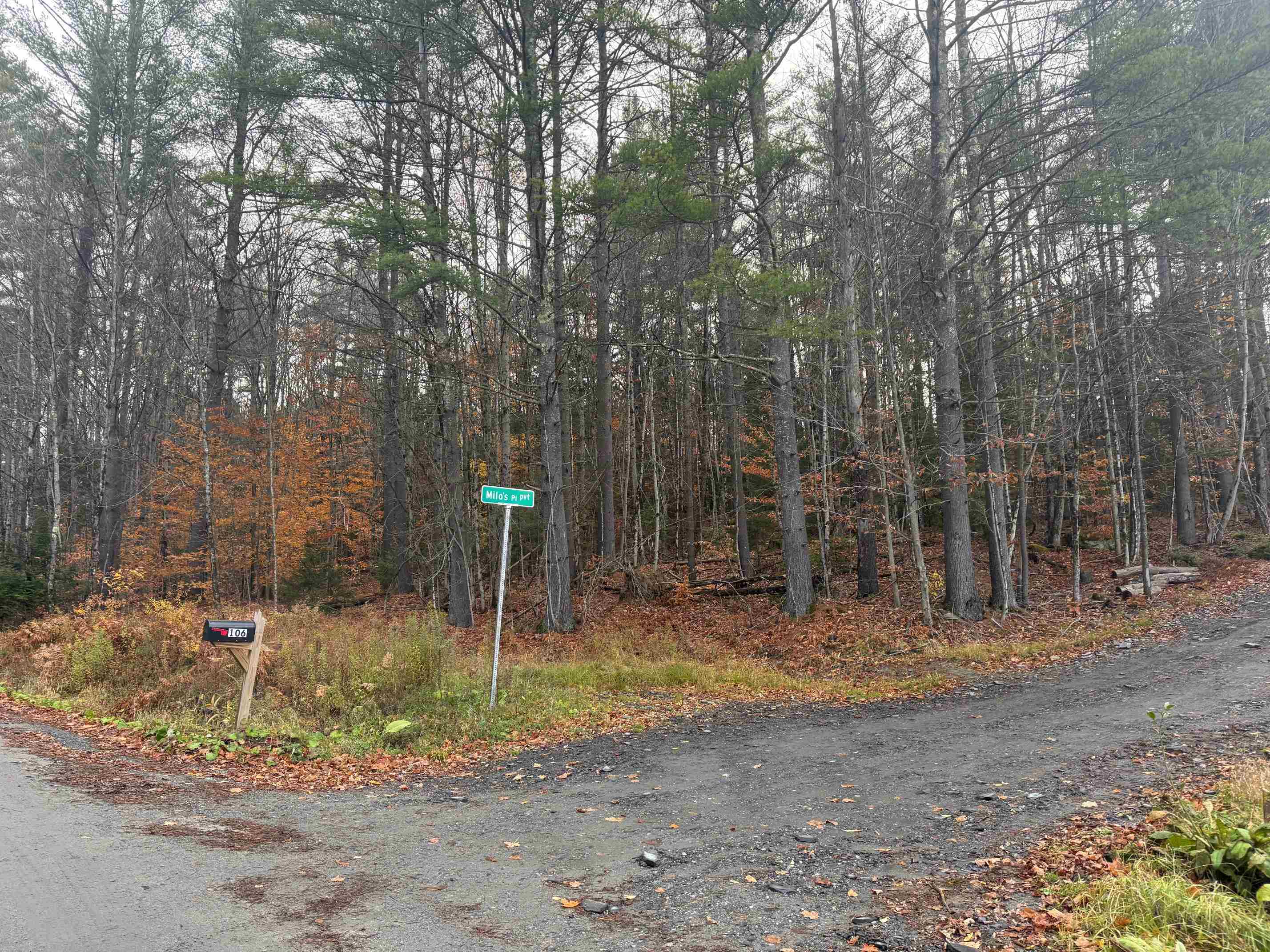 41 E Hampshire Hill Road