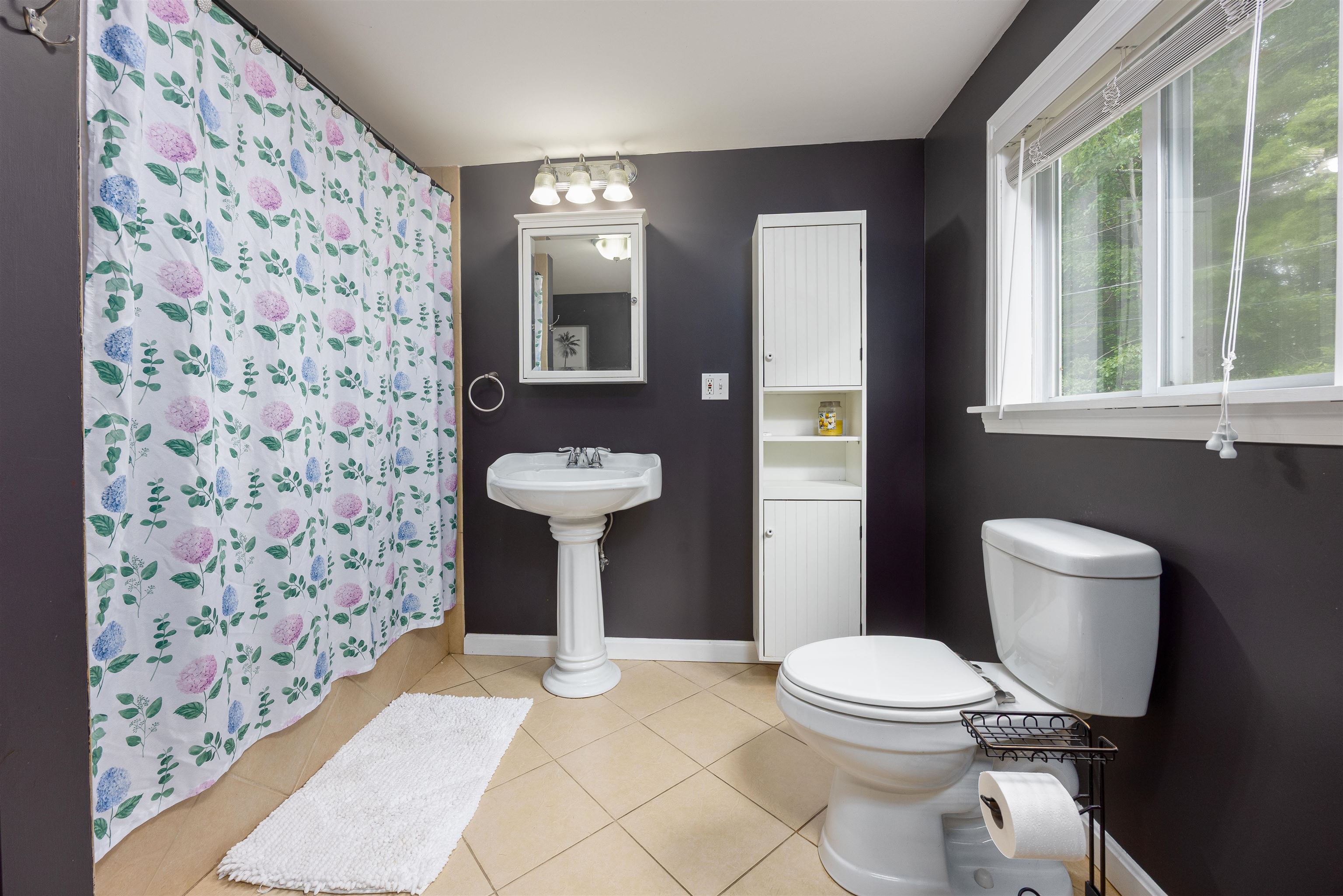 Goffstown, New Hampshire 03045, United States, 3 Bedrooms Bedrooms, ,3 BathroomsBathrooms,Residential,Active,155439