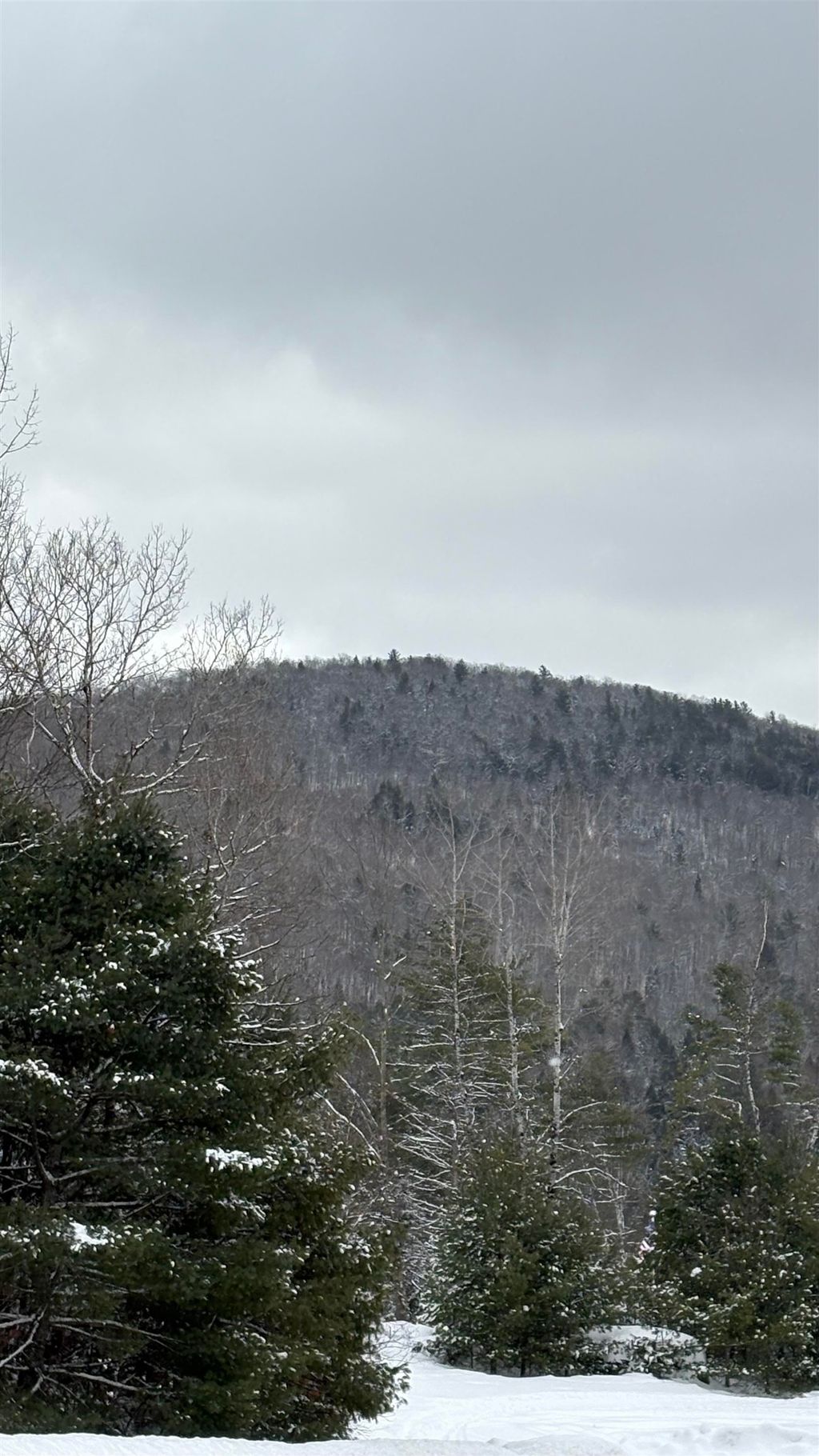 Photo of 4 Catterall Road, Lisbon, NH 03585 (MLS # 5065980)