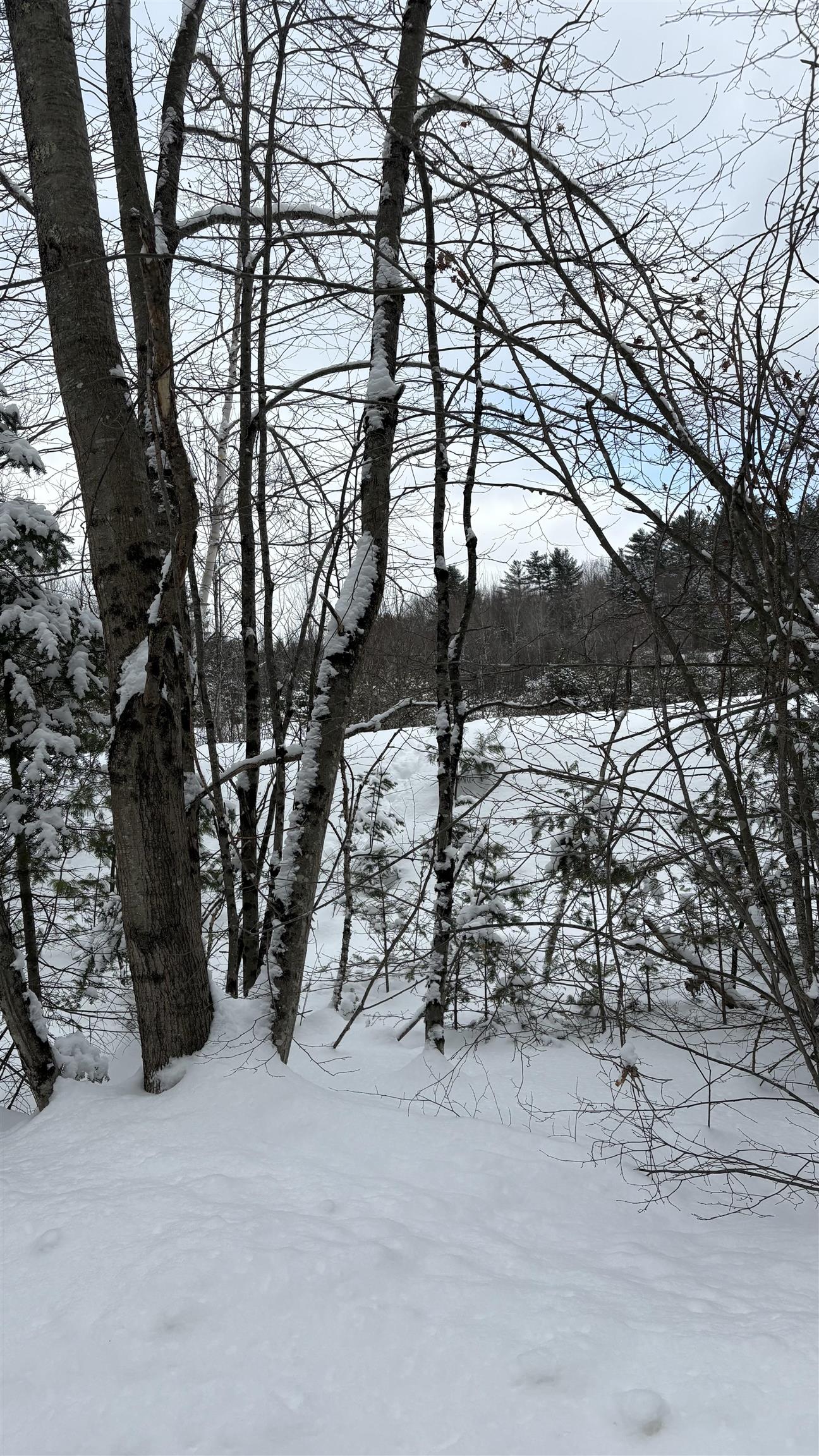 Lot 4 Catterall Road