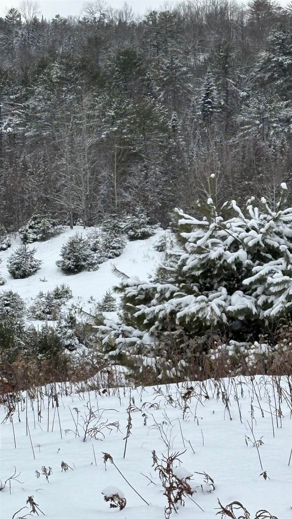 Photo of 4 Catterall Road, Lisbon, NH 03585 (MLS # 5065980)