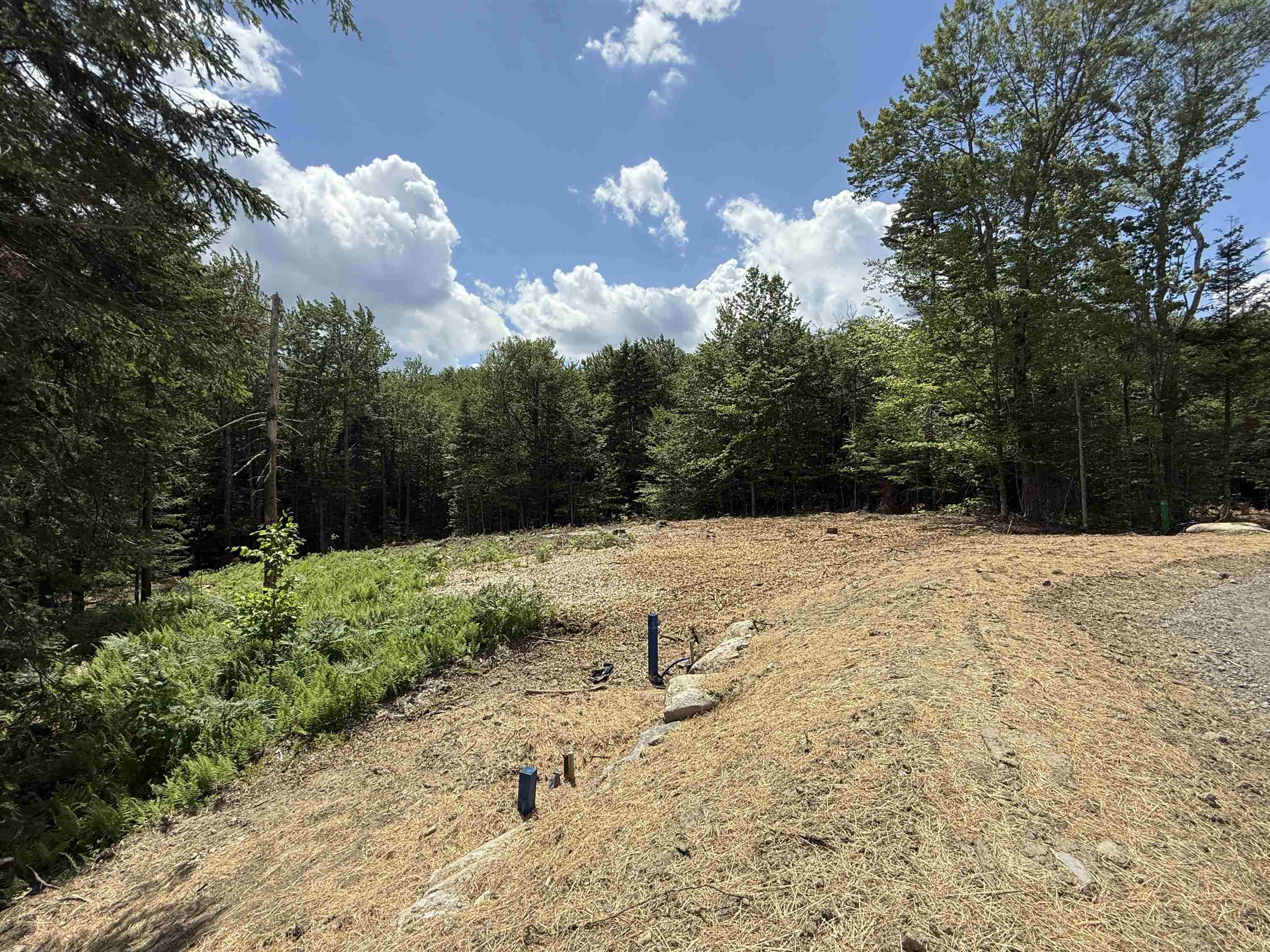 Lot 3 Old Mill Crossing