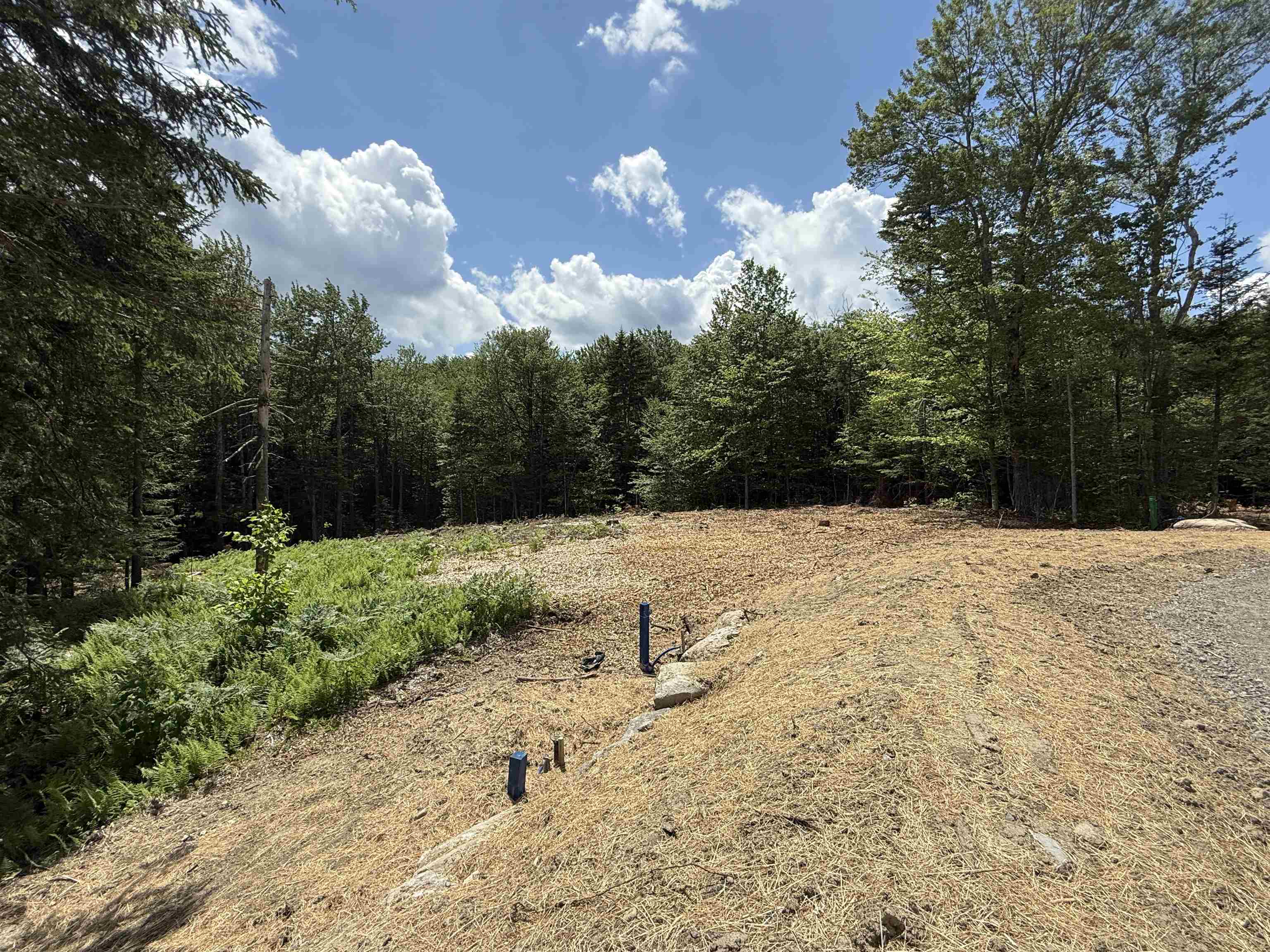Lot 3 Old Mill Crossing