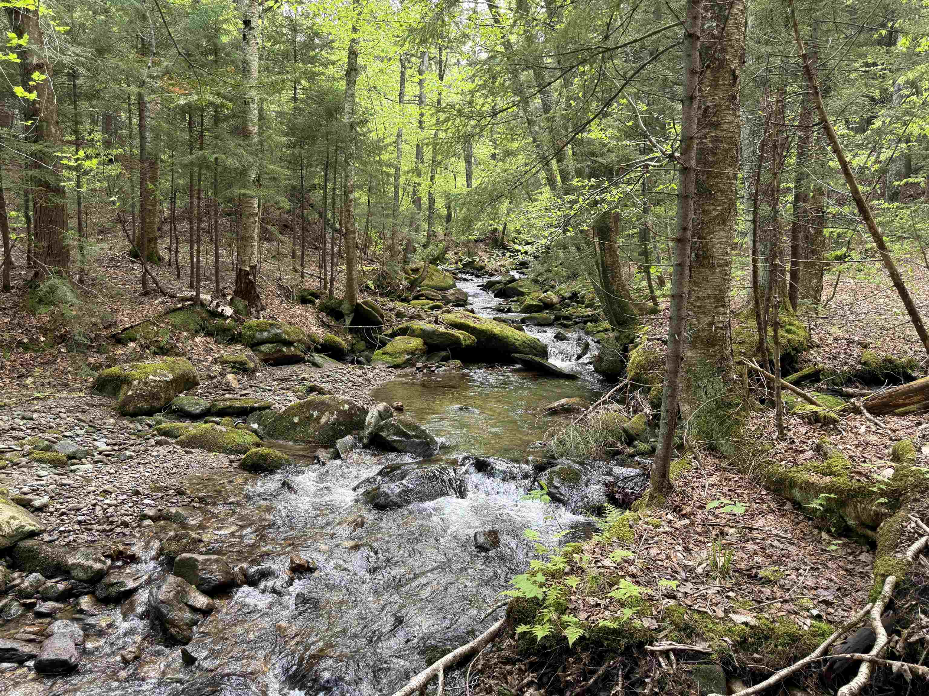 Lot 3 Old Mill Crossing