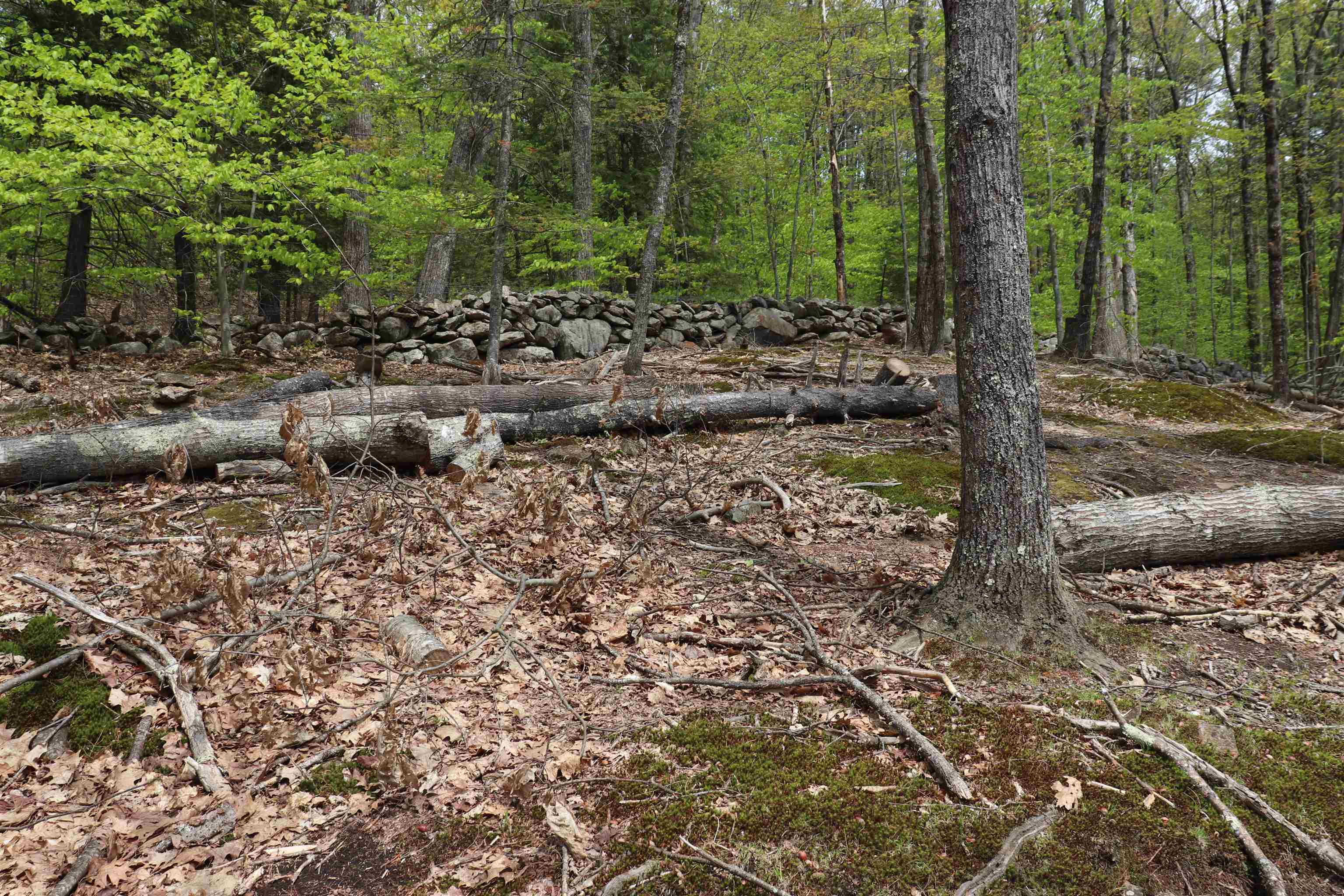 Ossipee, New Hampshire 03864, United States, ,Land,Active,19823