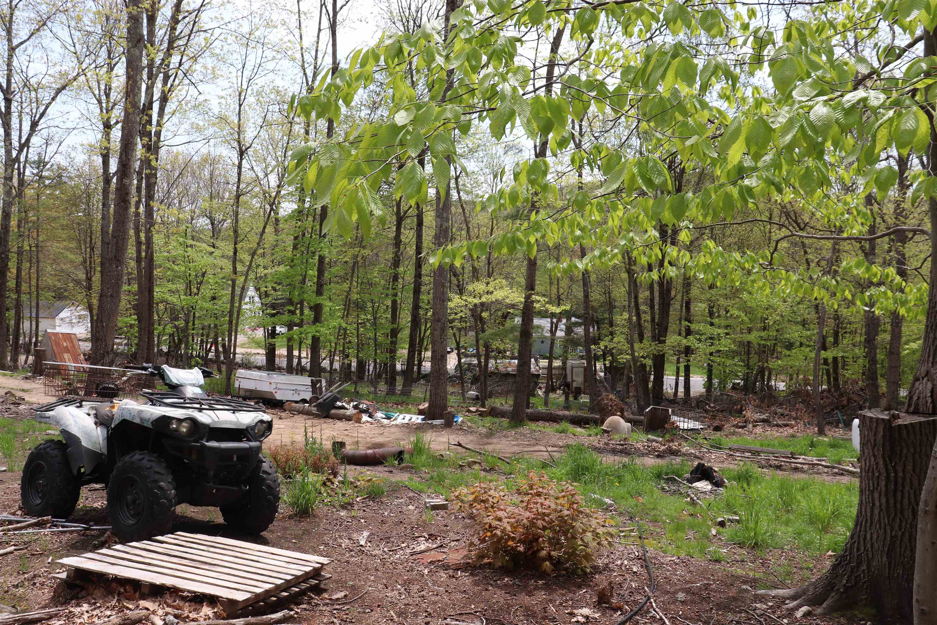 Ossipee, New Hampshire 03864, United States, ,Land,Active,19823