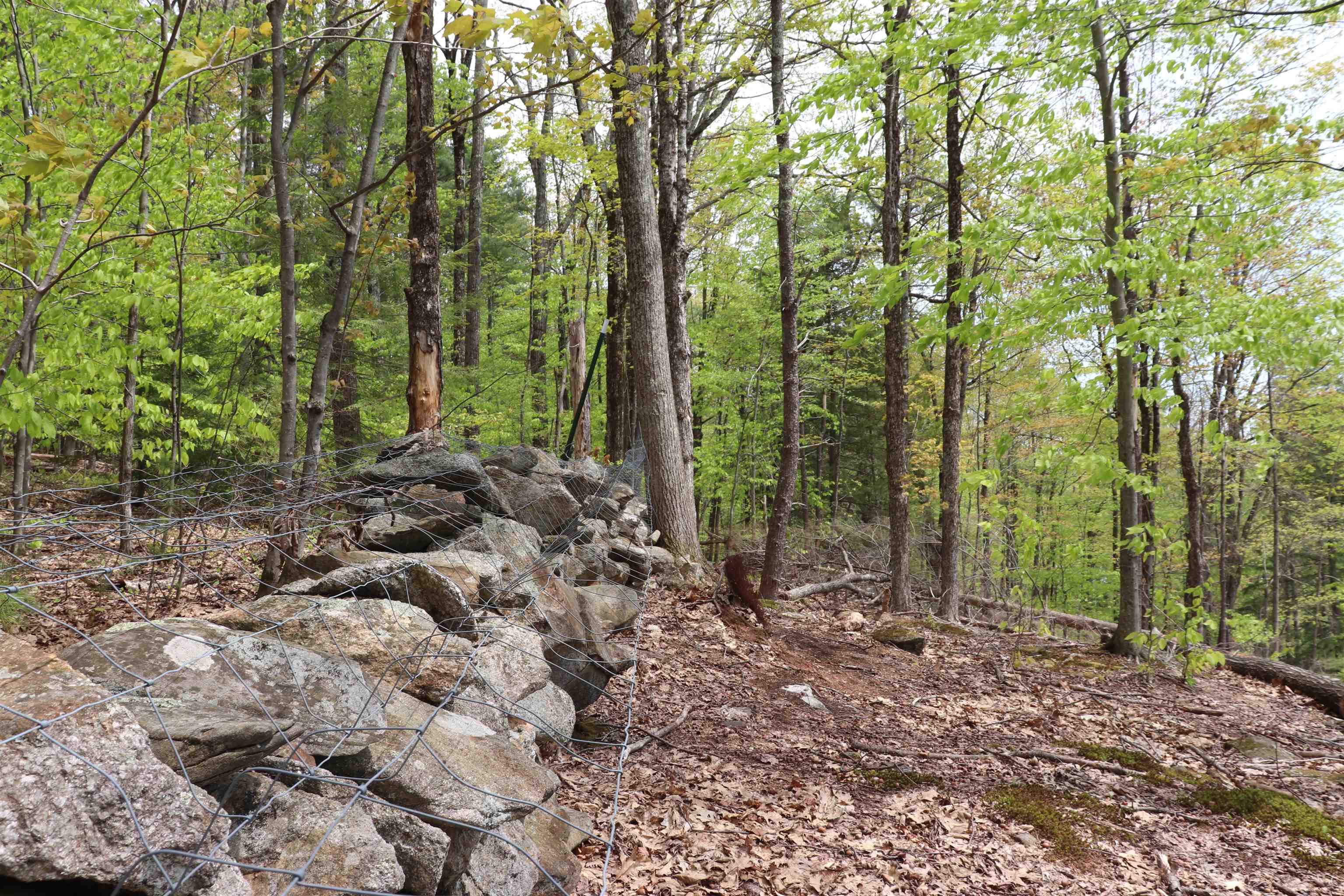 Ossipee, New Hampshire 03864, United States, ,Land,Active,19823