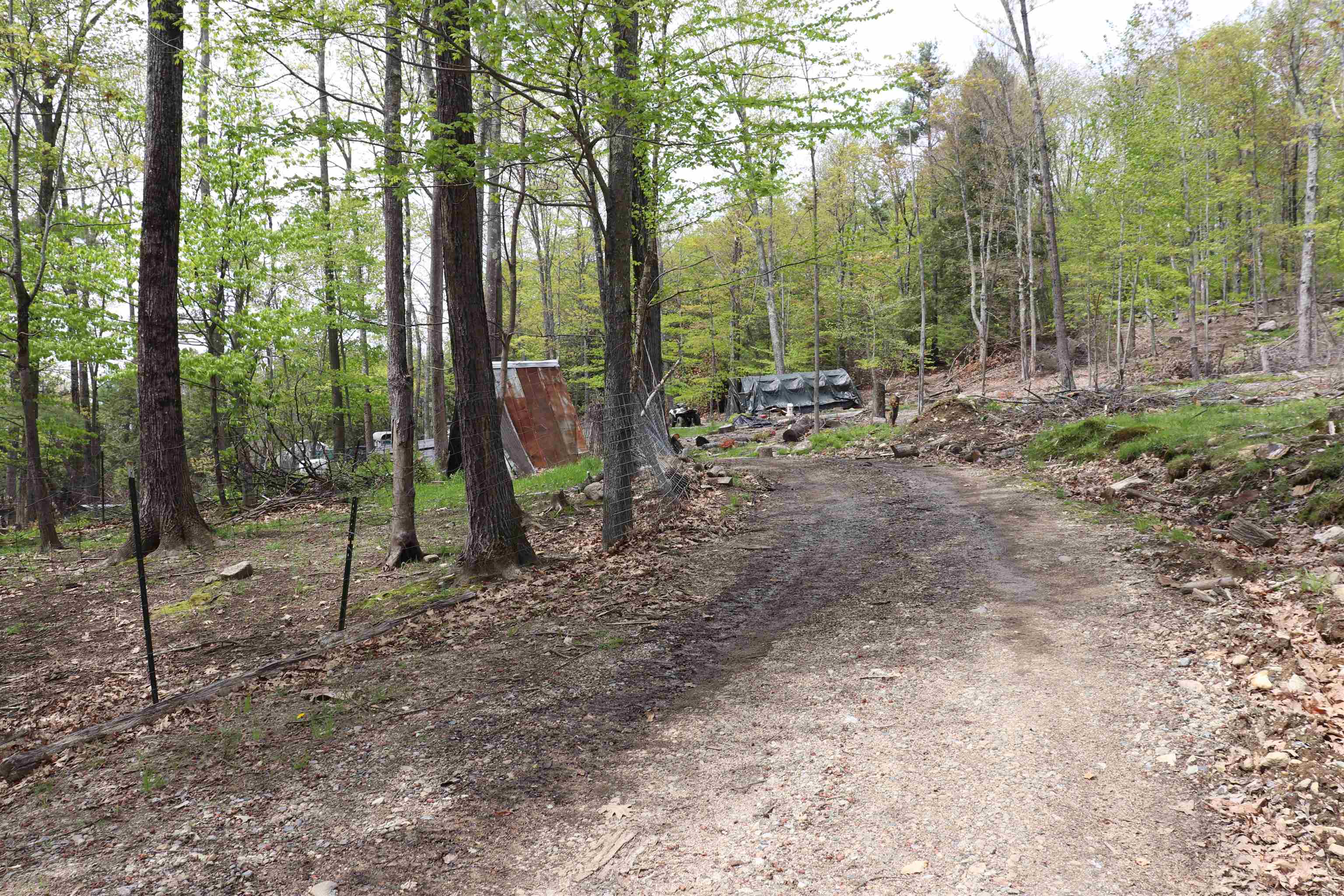 Ossipee, New Hampshire 03864, United States, ,Land,Active,19823