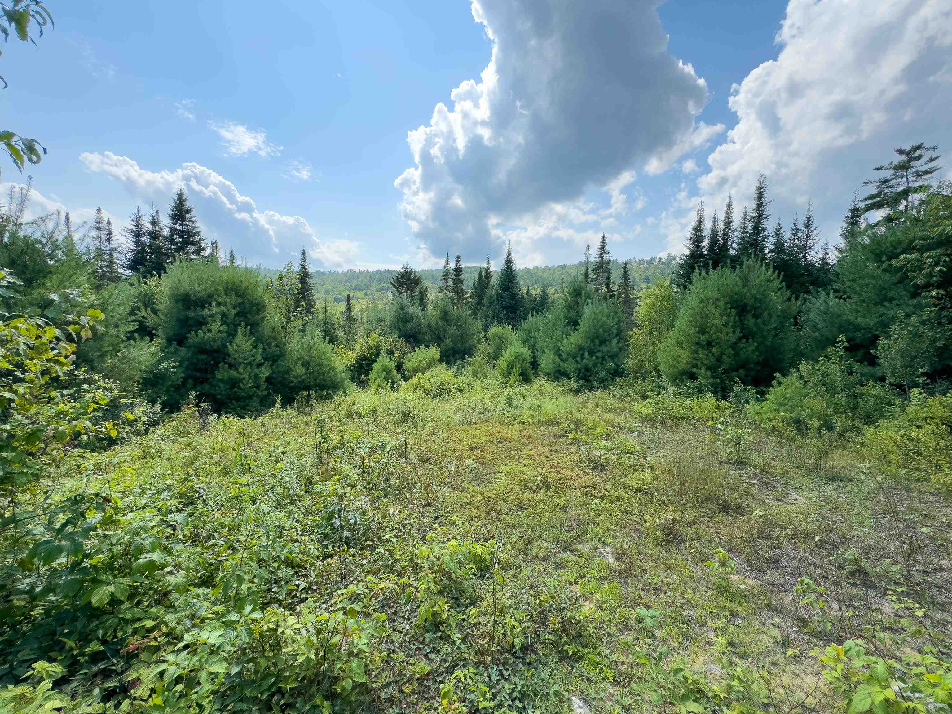 00 Scotch Hollow Road