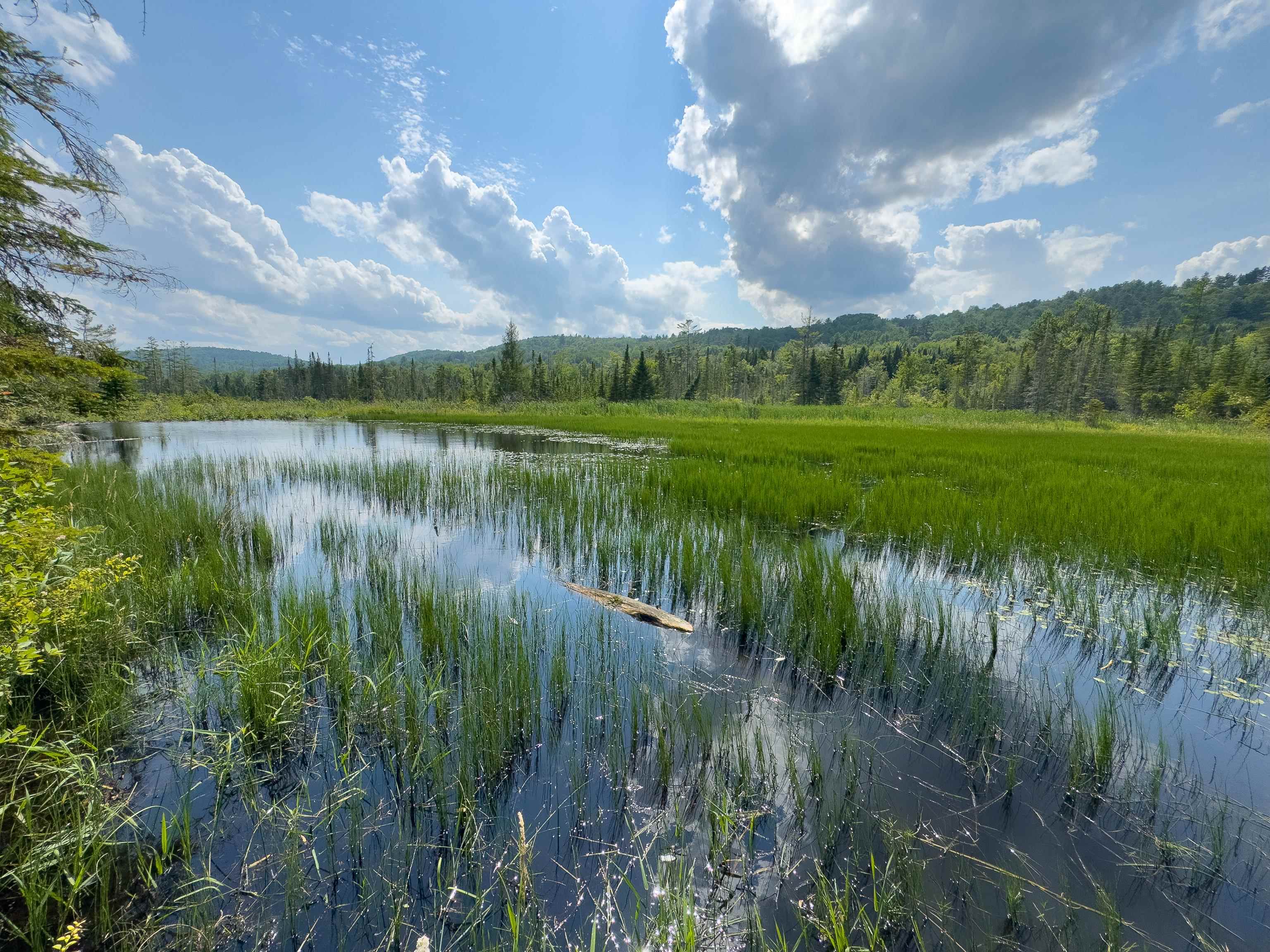 00 Scotch Hollow Road