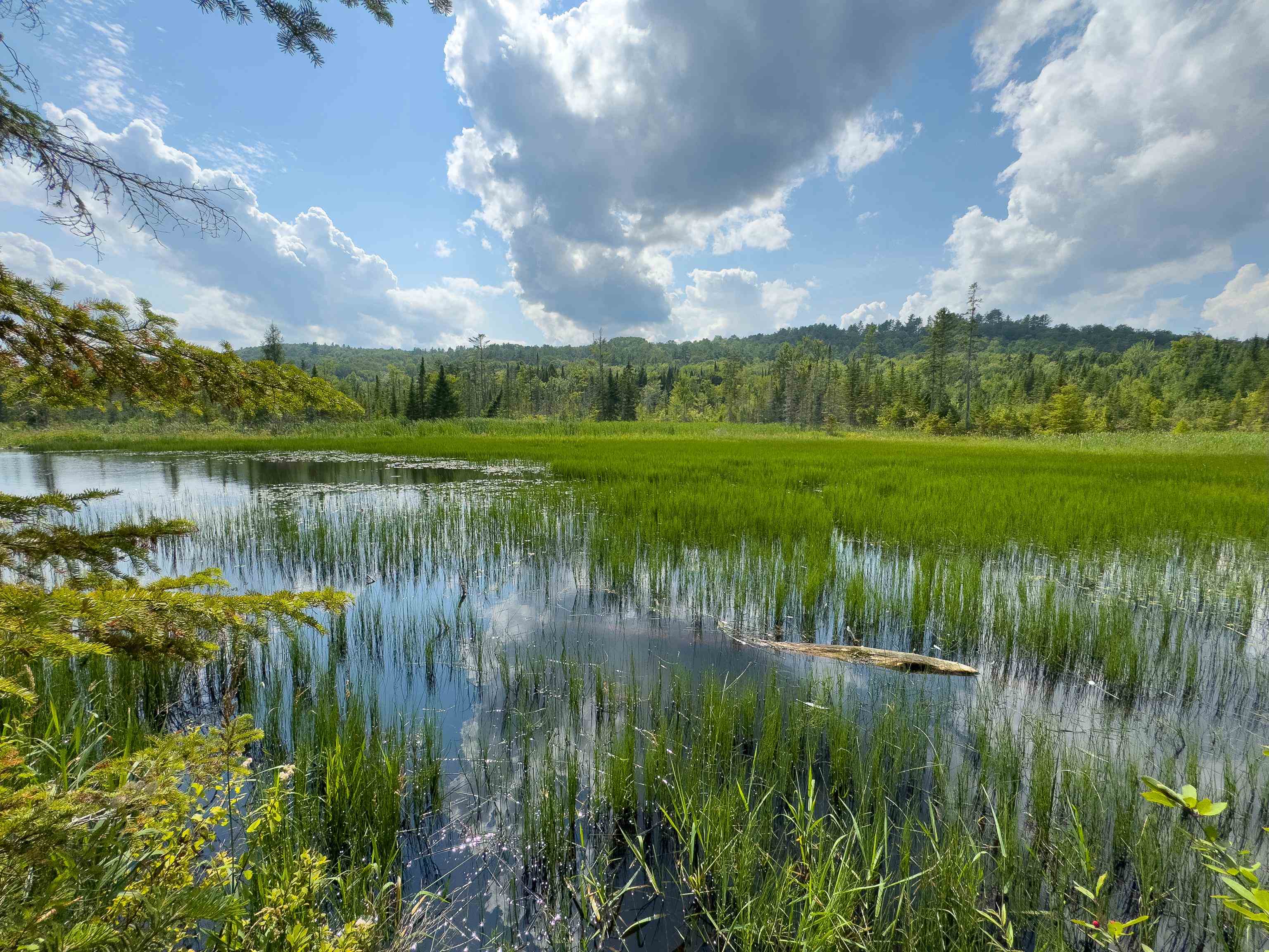 00 Scotch Hollow Road