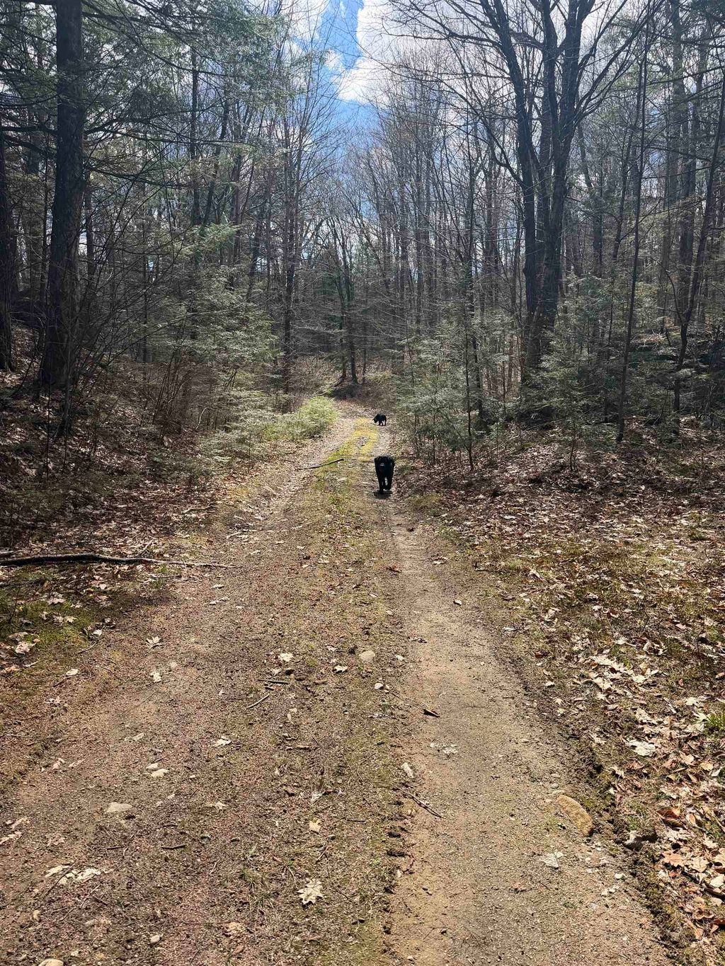 Photo of 299 Roxbury #Lot 9, Meredith, NH 03253 (MLS # 5089429)