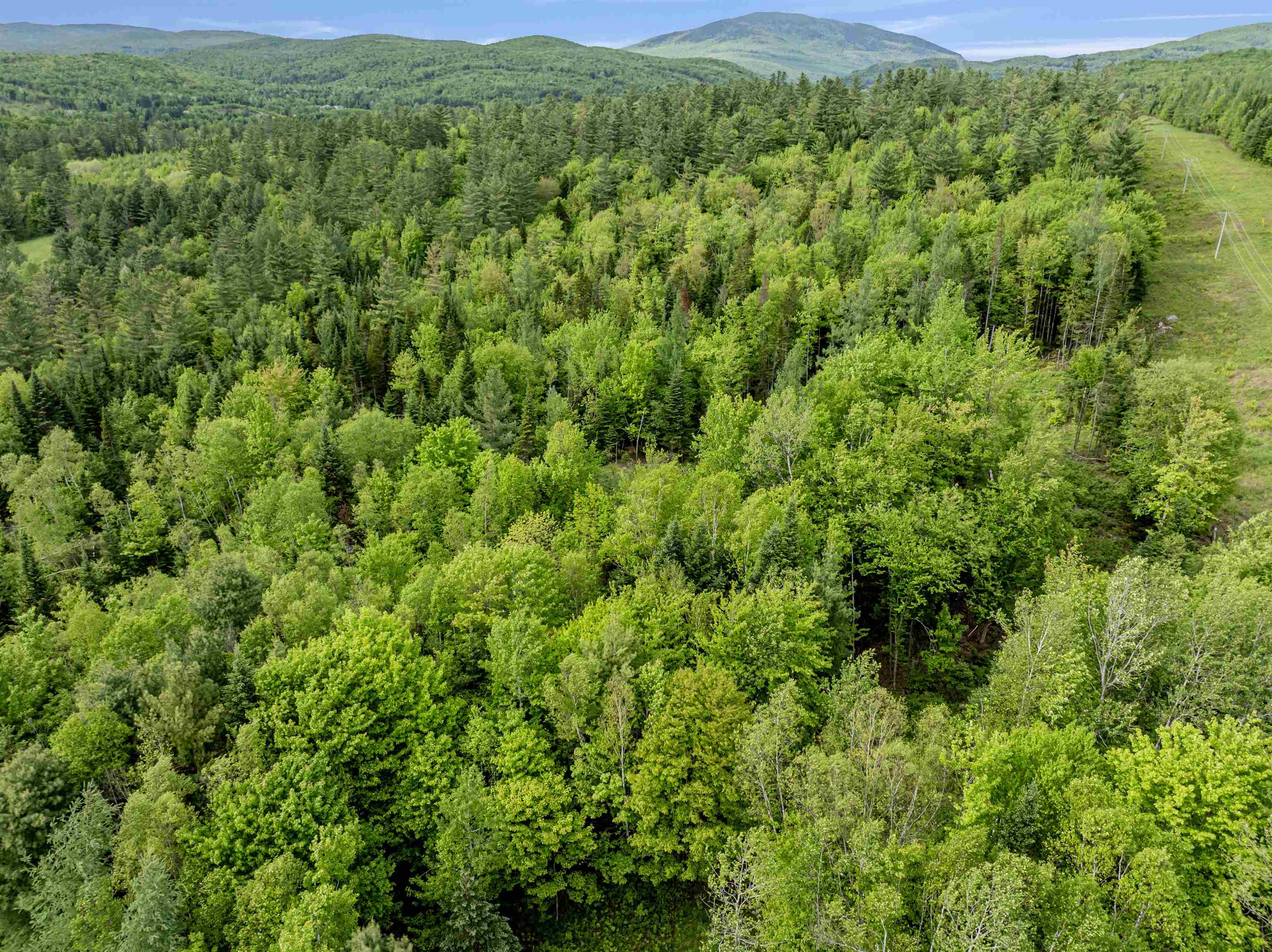 Lot 3 Off US Route 3