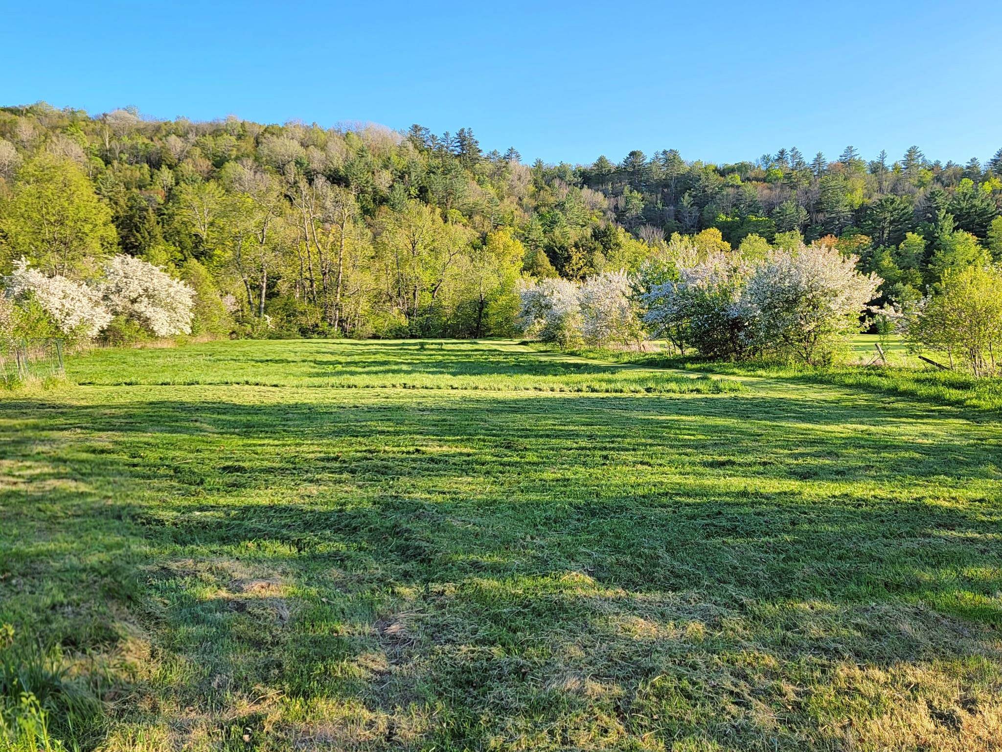 1076 NH Route 123a Route