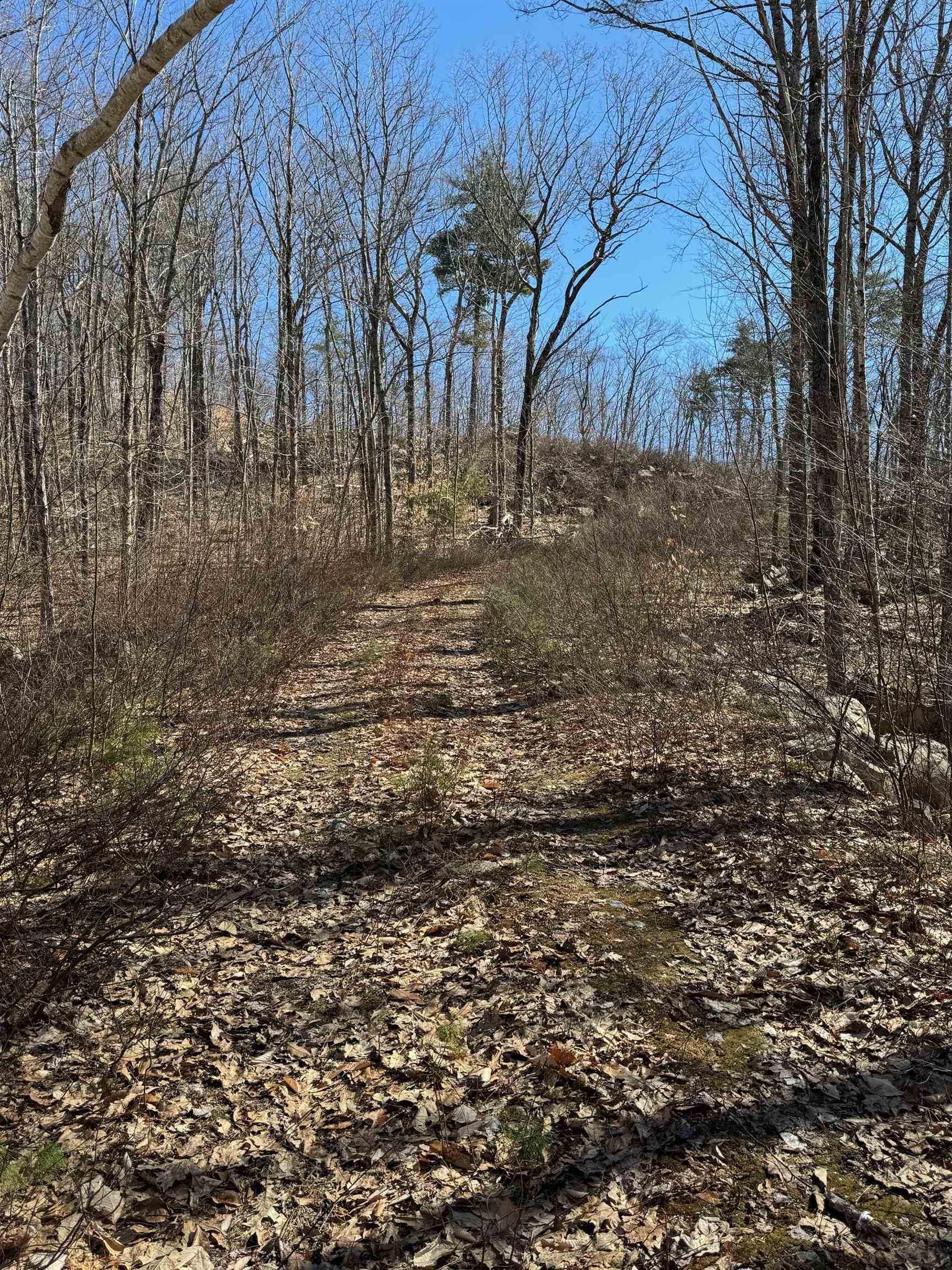 409 Powder Mill Road