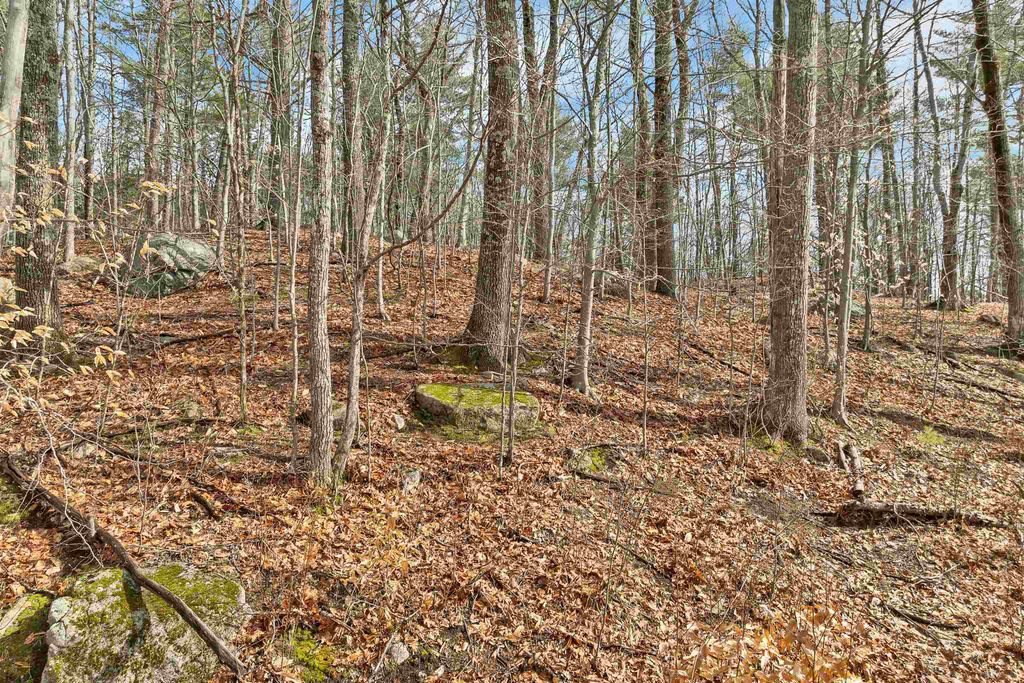 Photo of 57 Avery Hill Road, Alton, NH 03810 (MLS # 5085784)