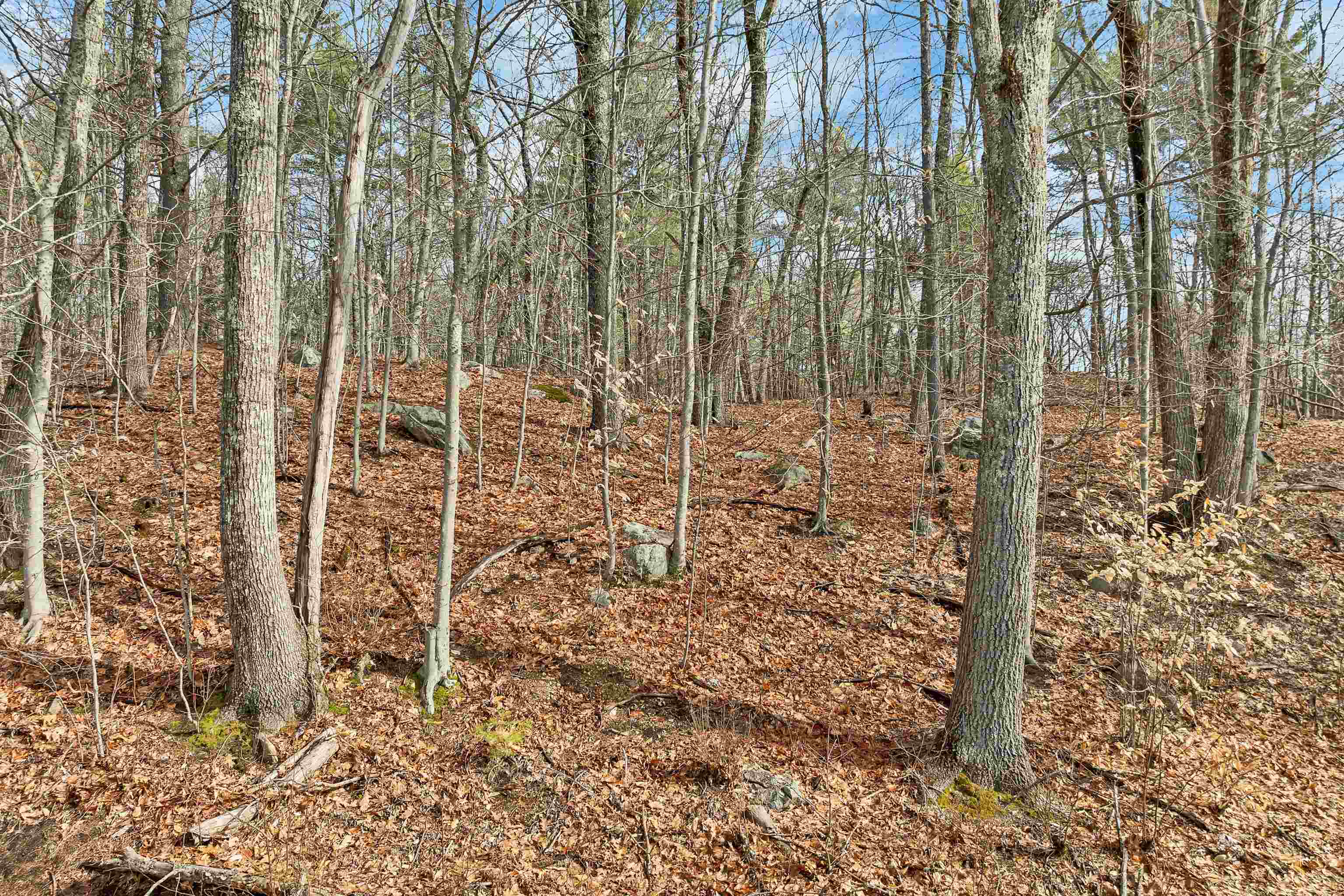 Lot 5-7 Avery Hill Road