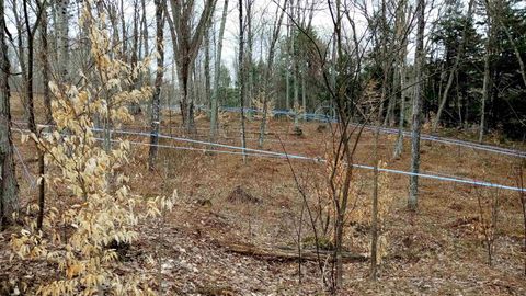1036 Town Hill Road Wolcott VT 05680