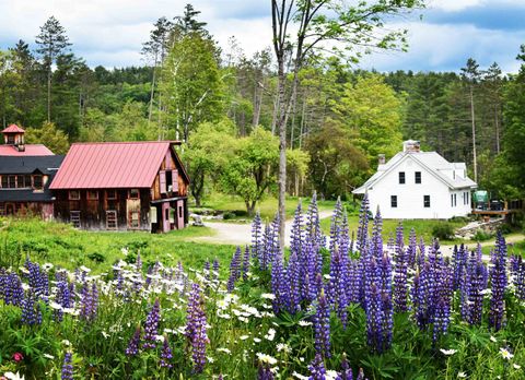 4669 Vermont Rte 100 Route Londonderry VT 05148