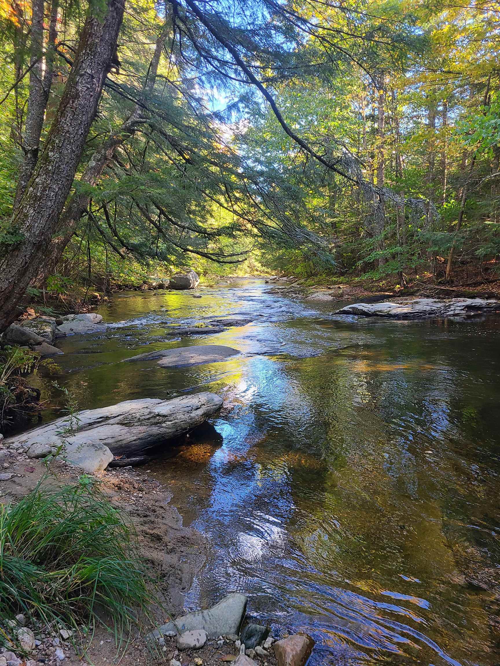 4669 Vermont Rte 100 Route