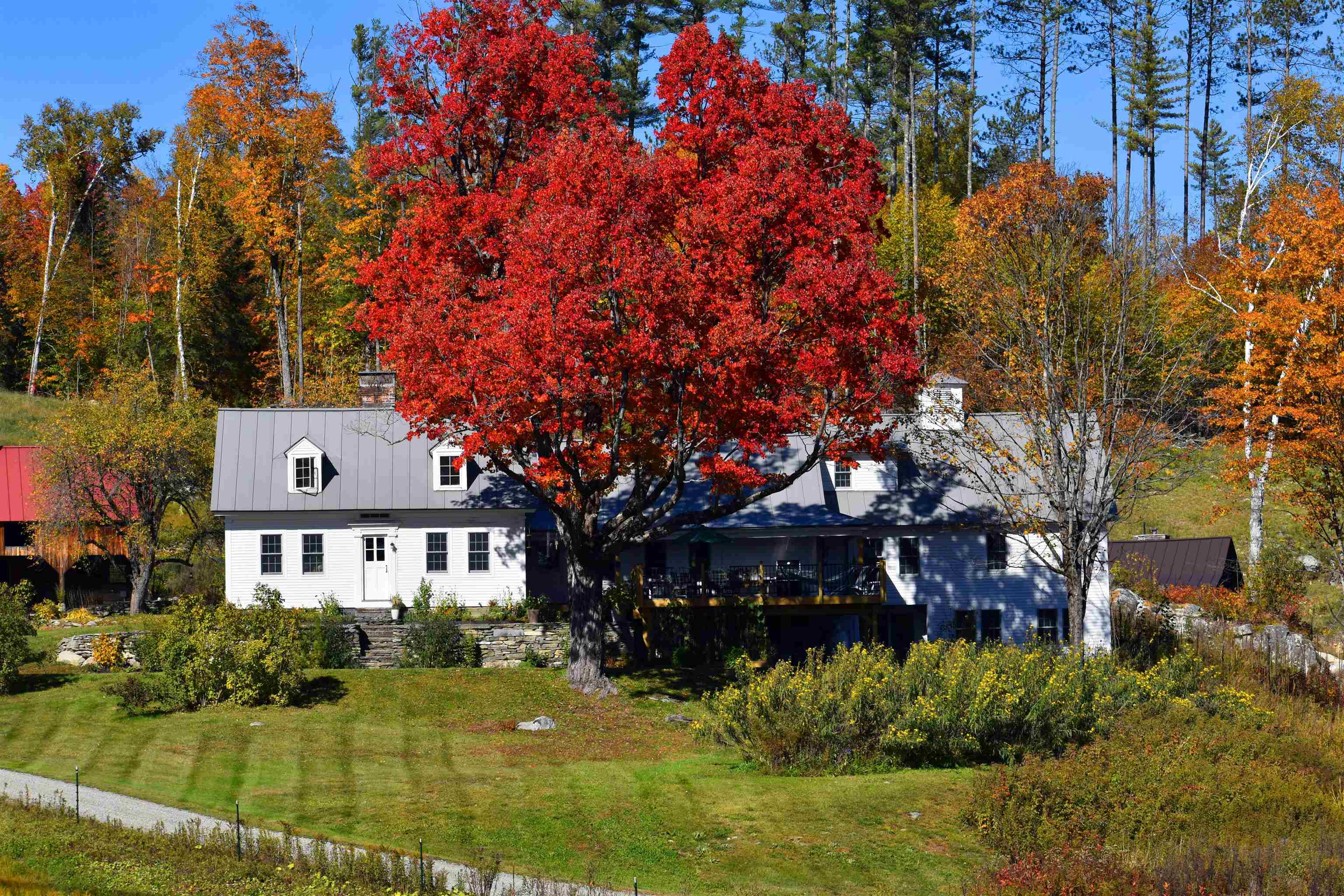 4669 Vermont Rte 100 Route