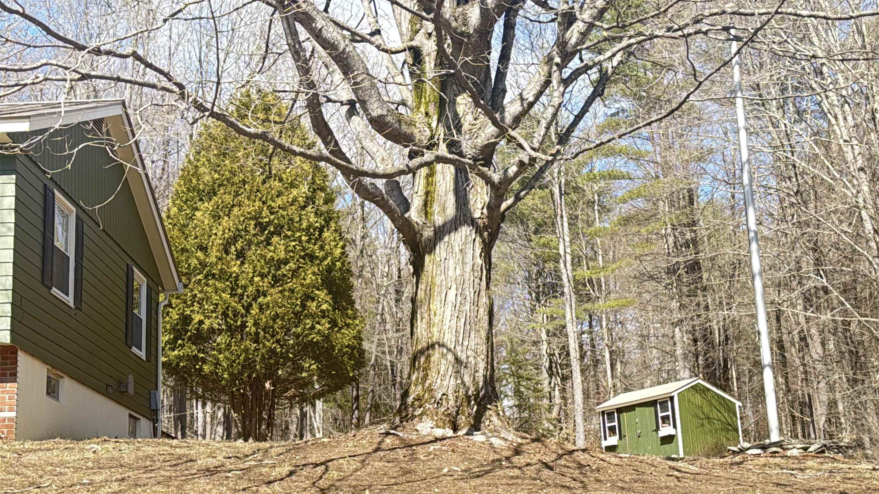 11 Juniper Hill Road