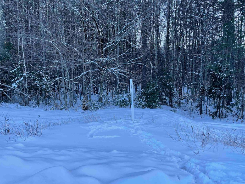 Photo of 6800 Gilman Valley &amp; Route 25 W, Tamworth, NH 03883 (MLS # 5071576)