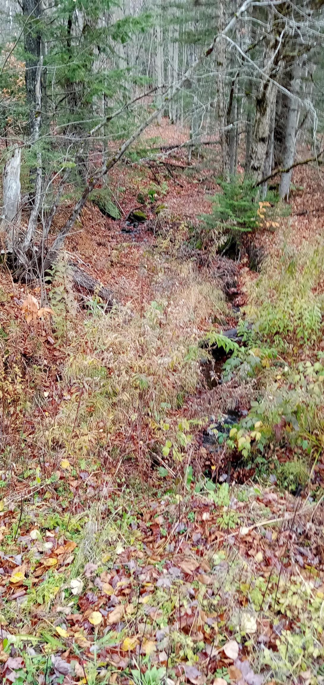 000 Square Road Lot B