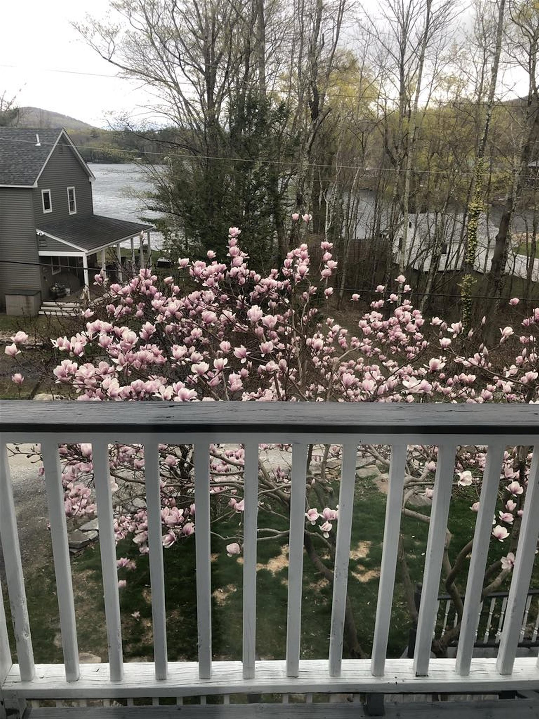 91 White Birch Drive