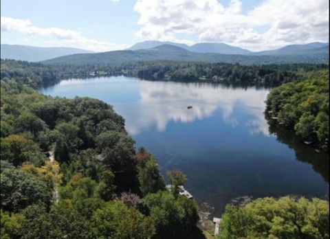 91 White Birch Drive Tinmouth VT 05773