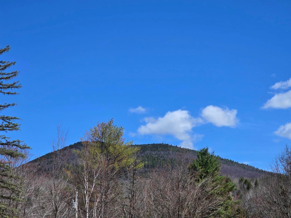 Photo of 1089 NH Route 16, Bartlett, NH 03838 (MLS # 5083929)